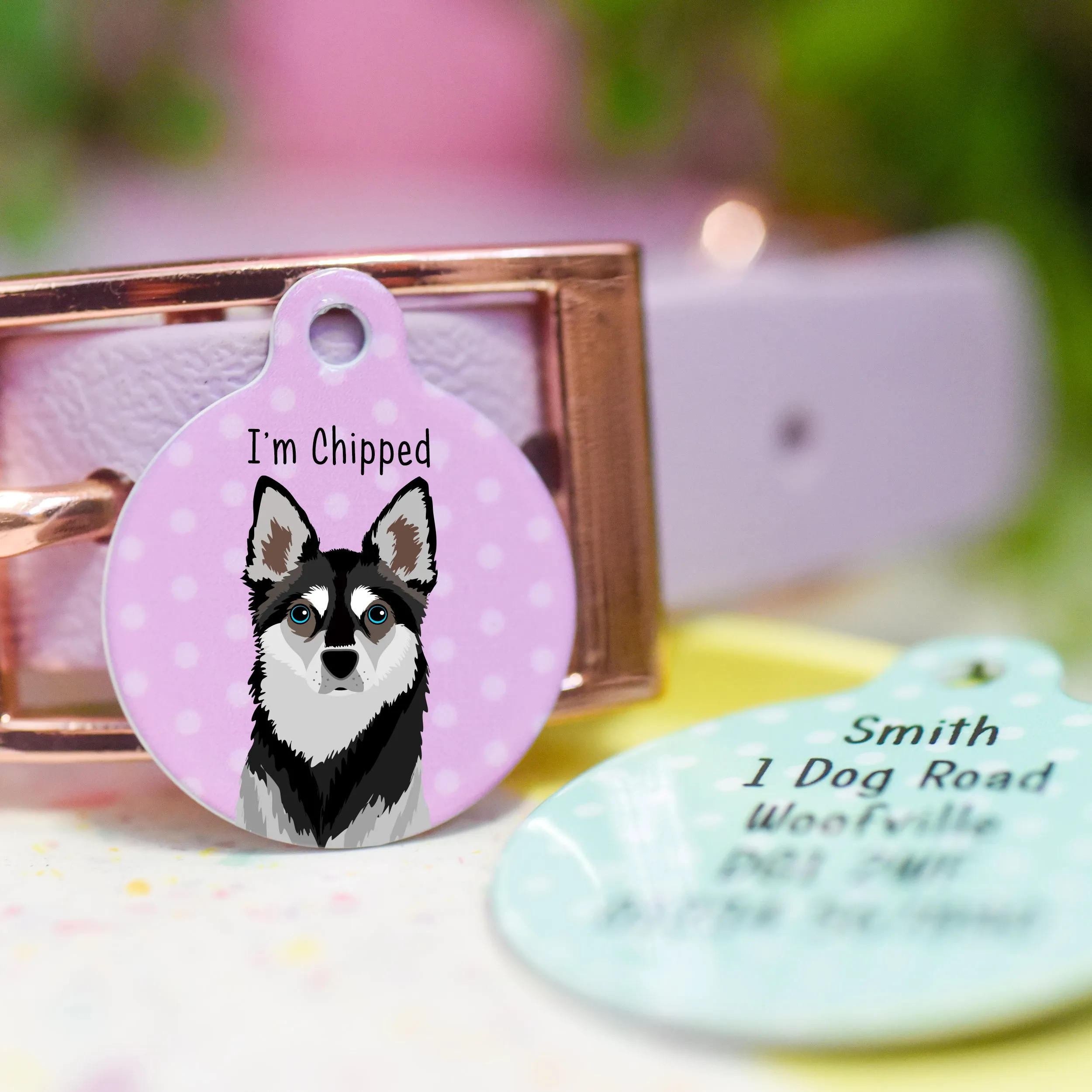 Alaskan Klee Kai Dog Tag Personalised