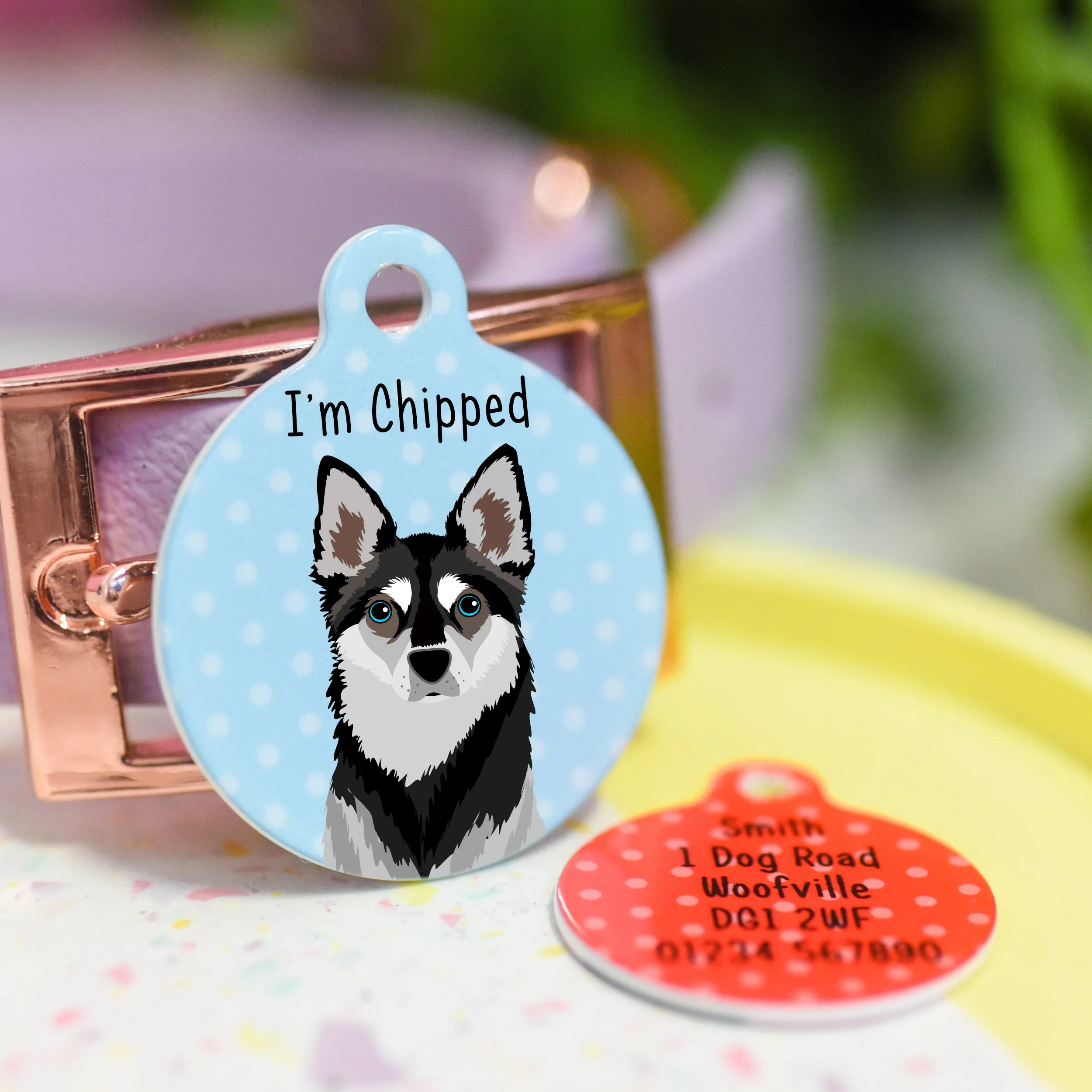 Alaskan Klee Kai Dog Tag Personalised