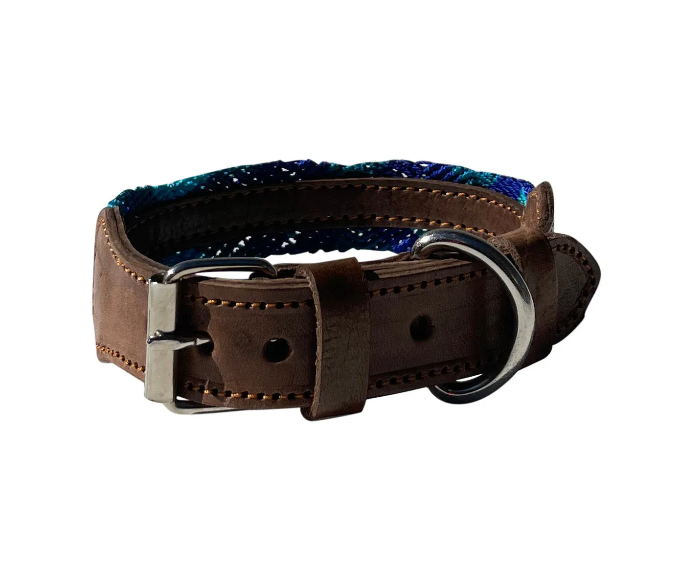 Aurelio Collar