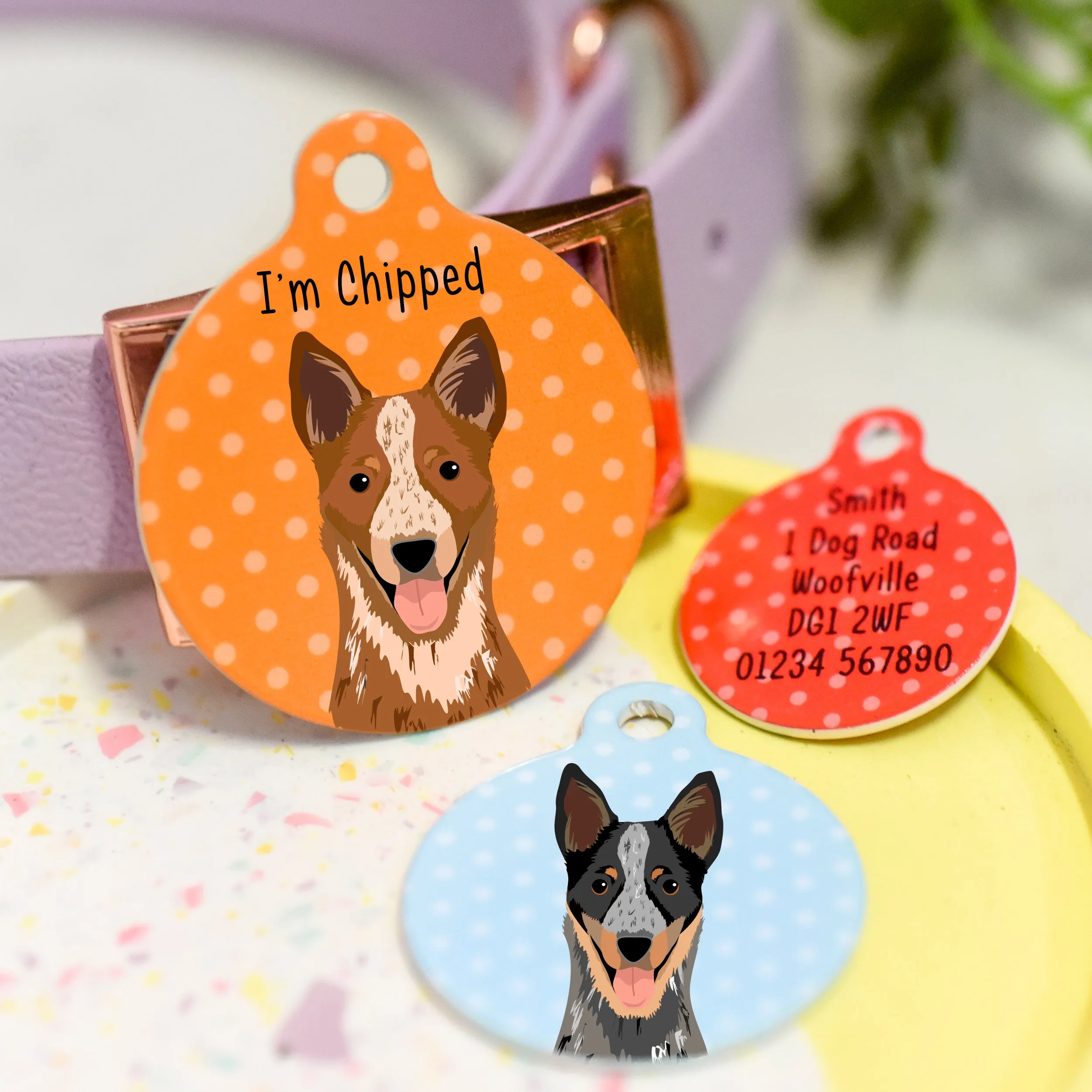 Australian Cattle Dog Personalised Dog ID Tag