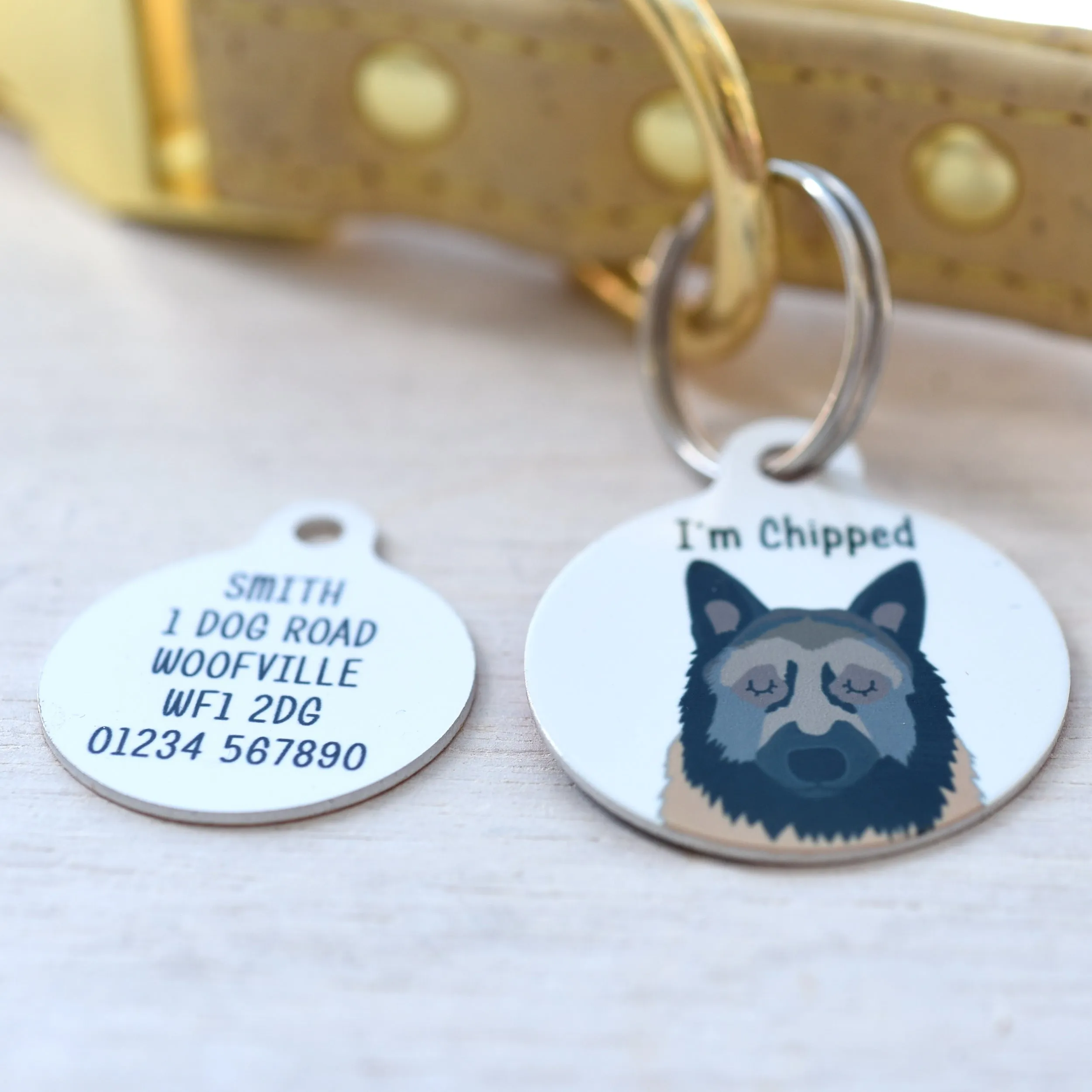 Belgian Tervuren Dog Tag