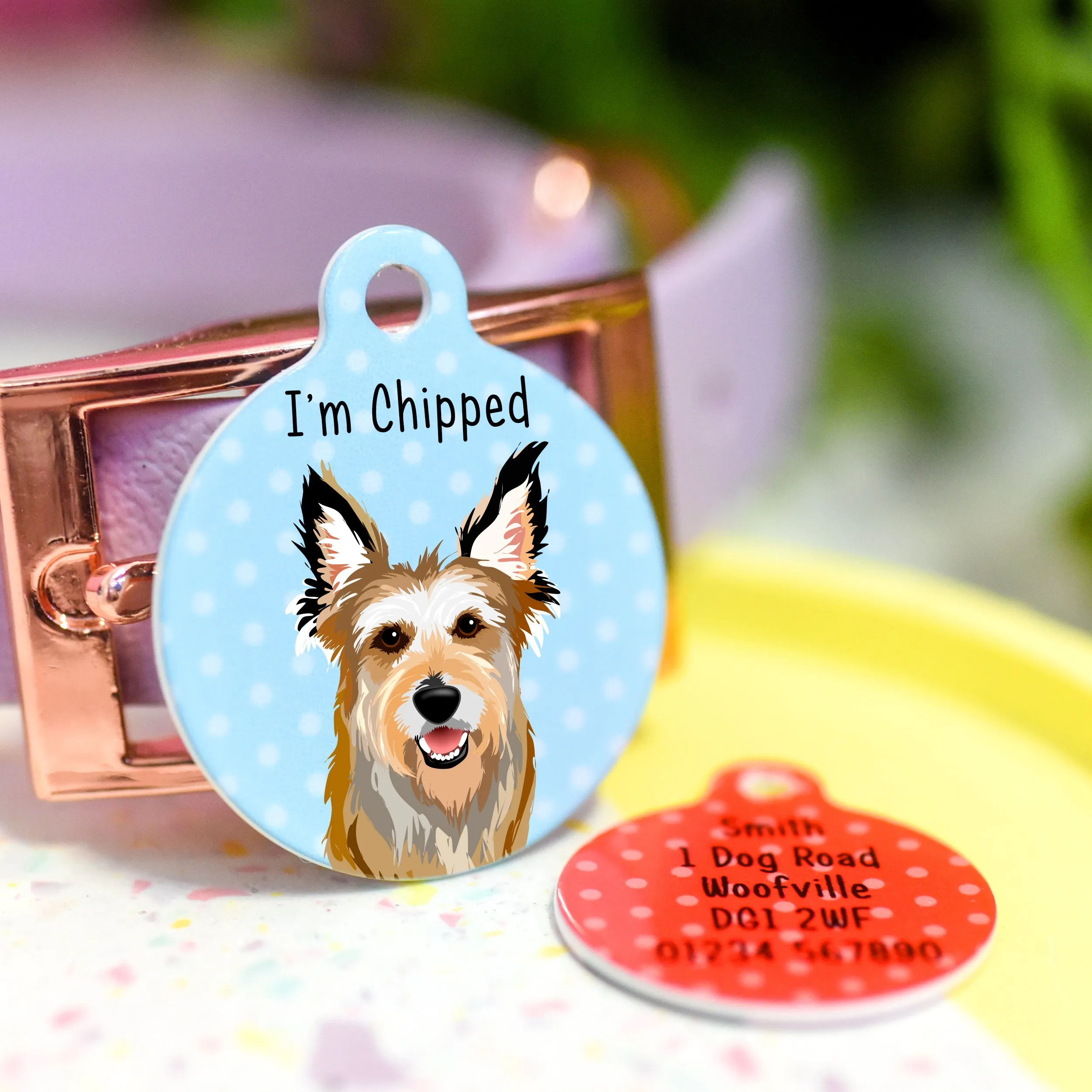 Berger Picard Personalised Dog ID Tag