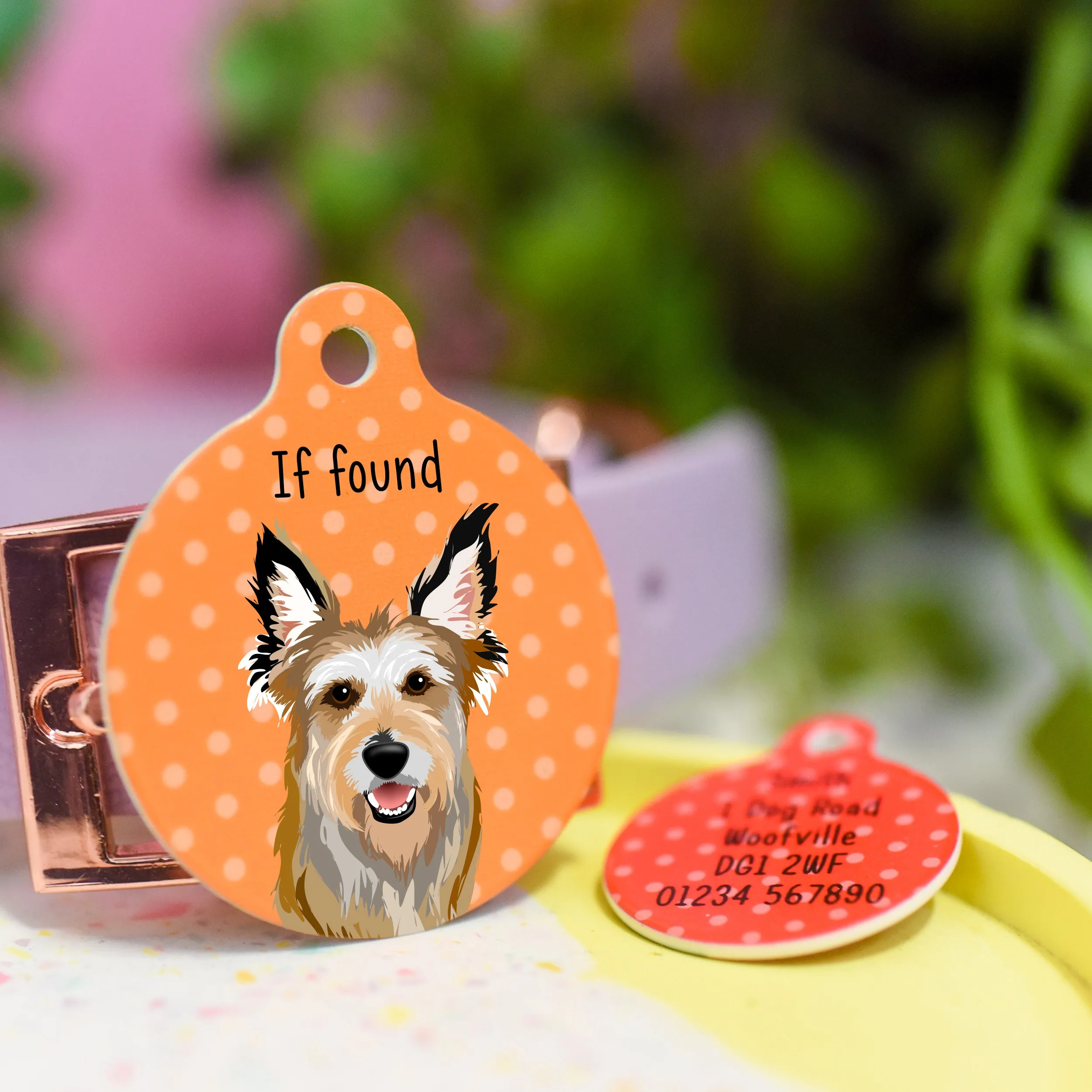 Berger Picard Personalised Dog ID Tag