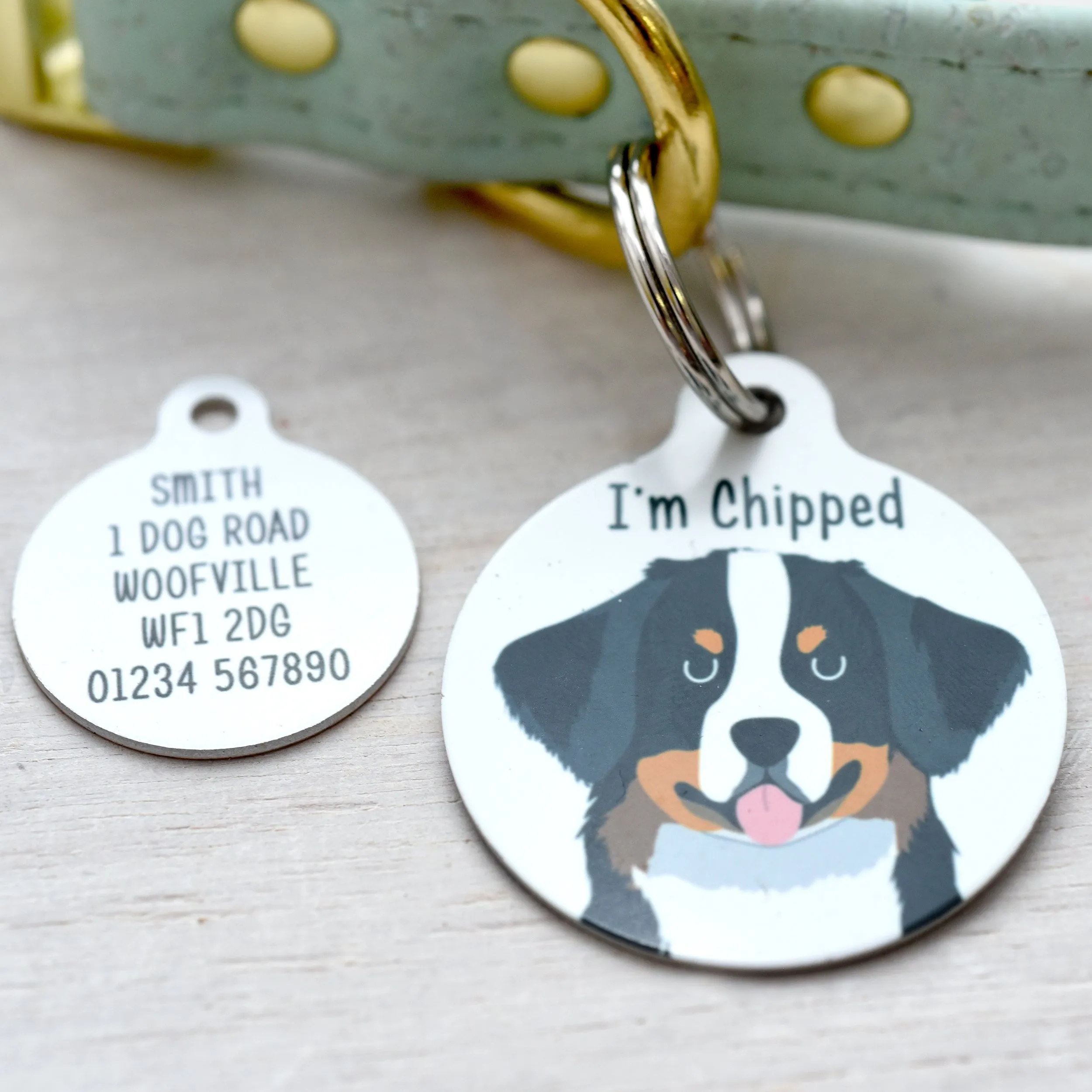 Bernese Mountain Dog Personalised Dog Tag