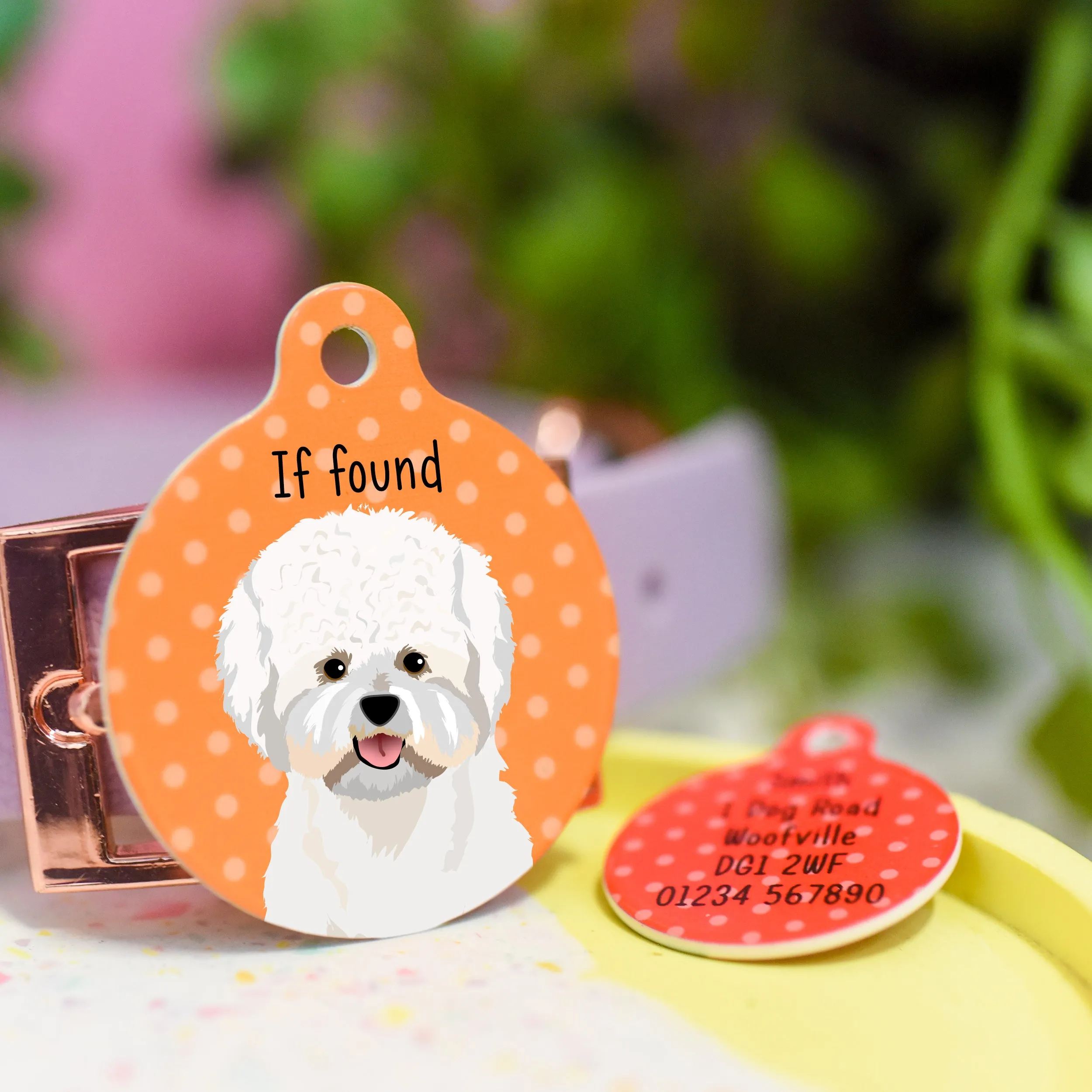 Bichon Frise Personalised Dog Tag