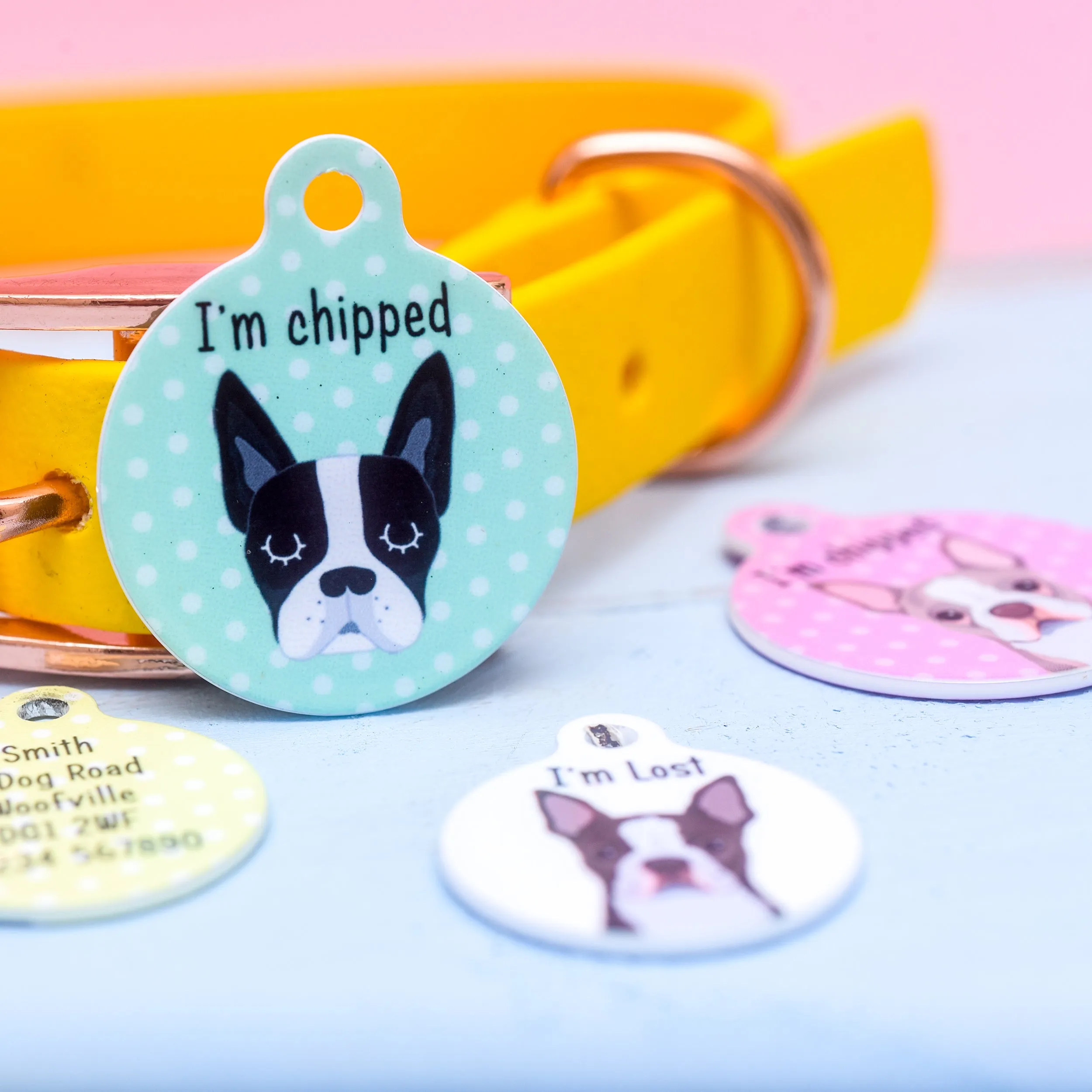 Boston Terrier Personalised Dog Tag