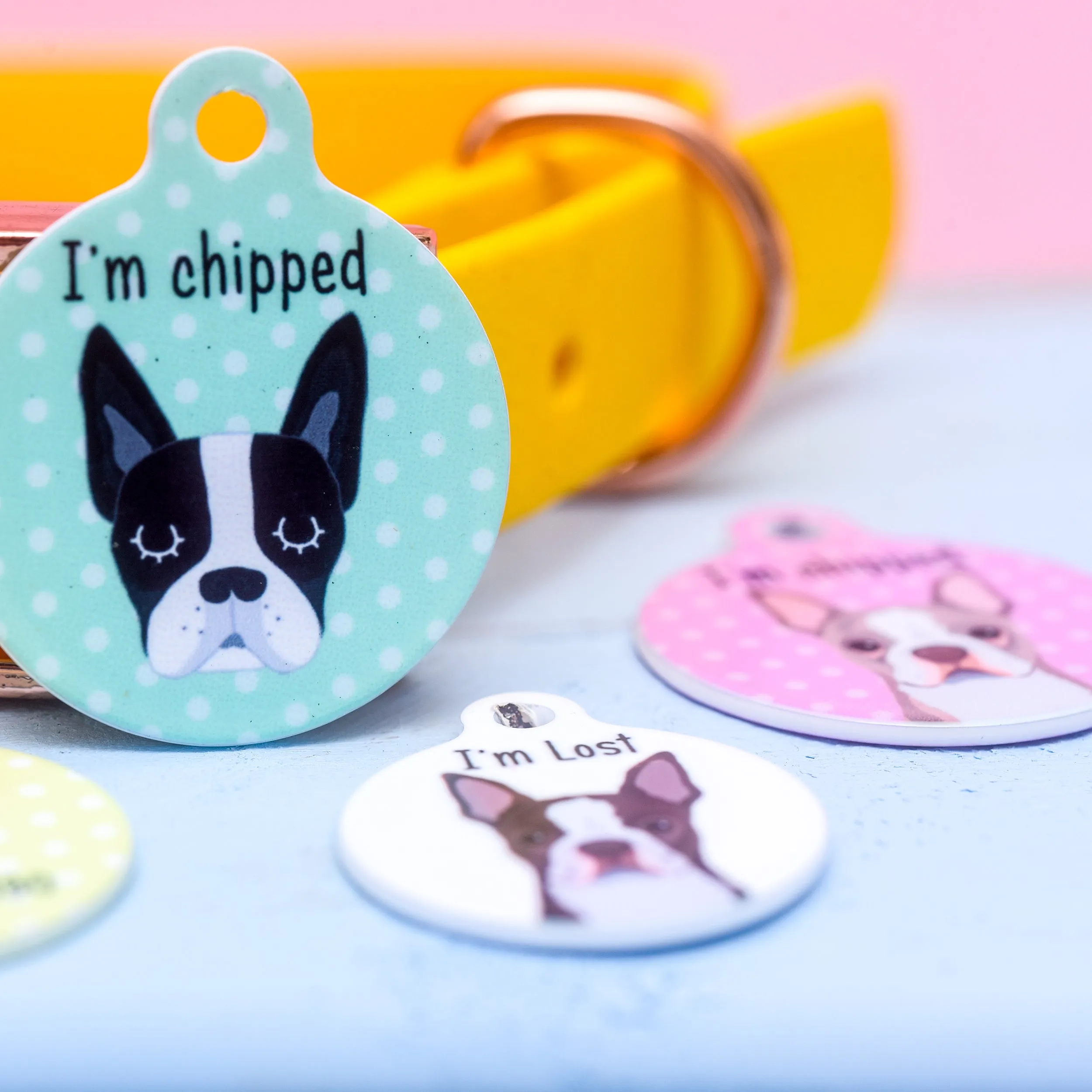 Boston Terrier Personalised Dog Tag