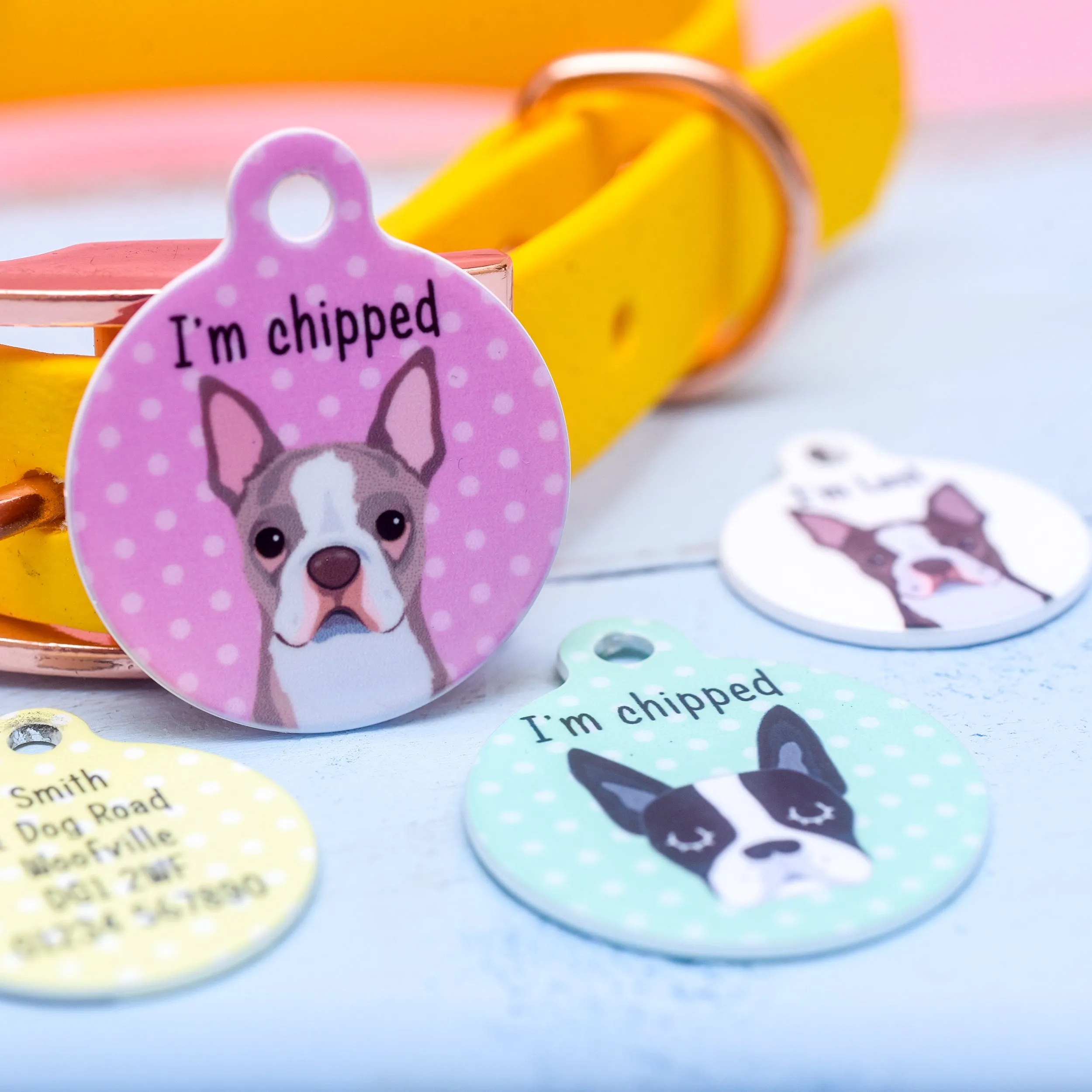 Boston Terrier Personalised Dog Tag