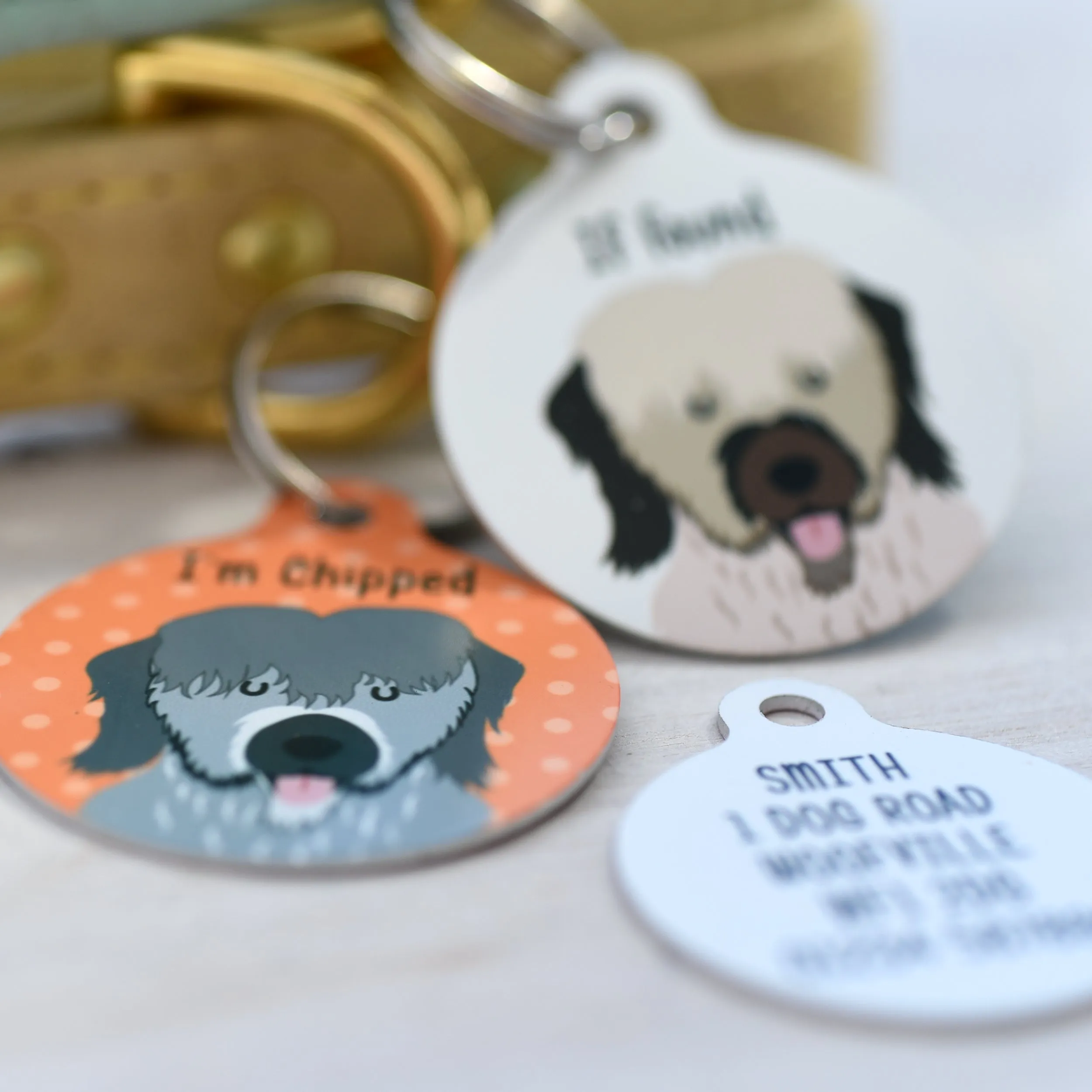 Briard Dog Tag Personalised