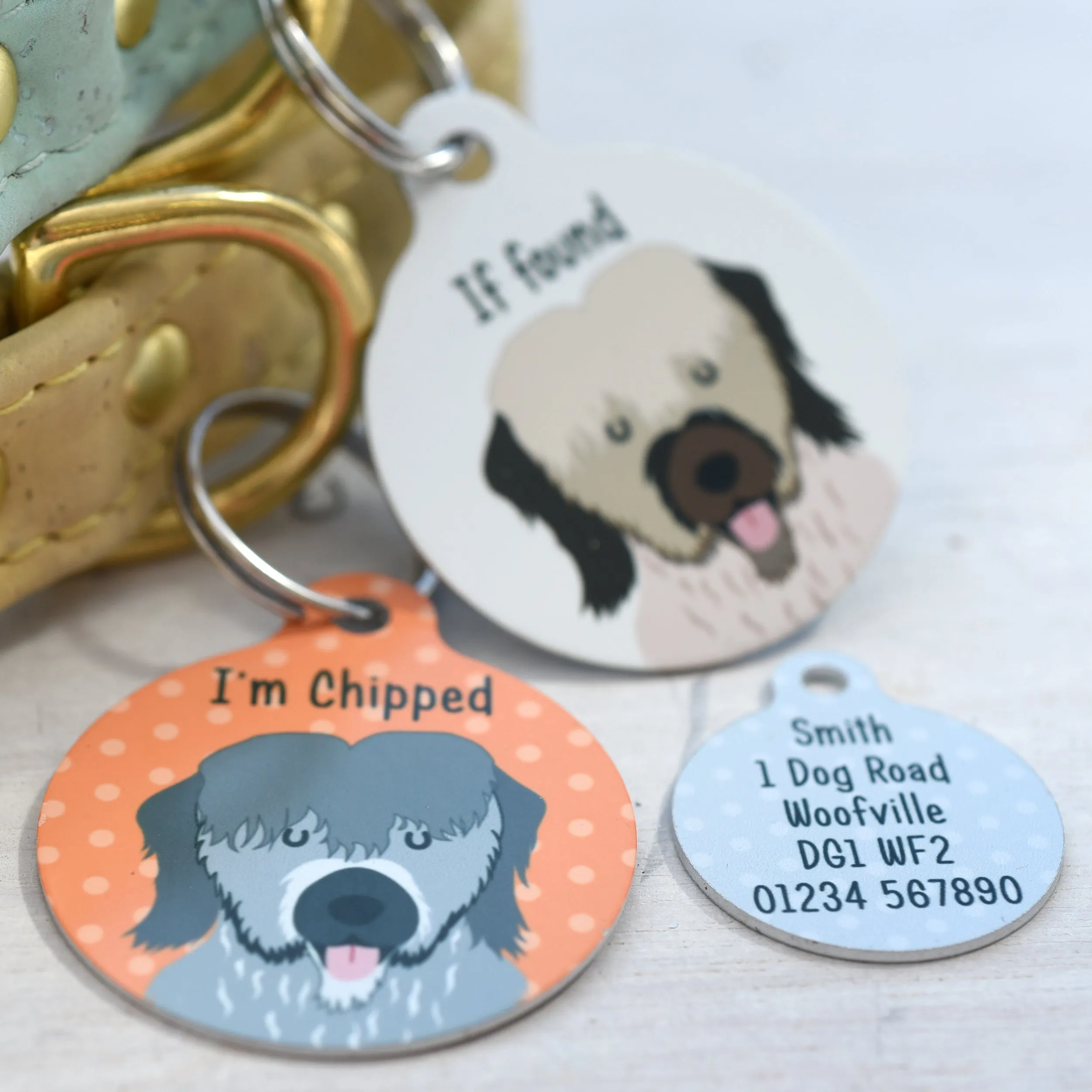 Briard Dog Tag Personalised