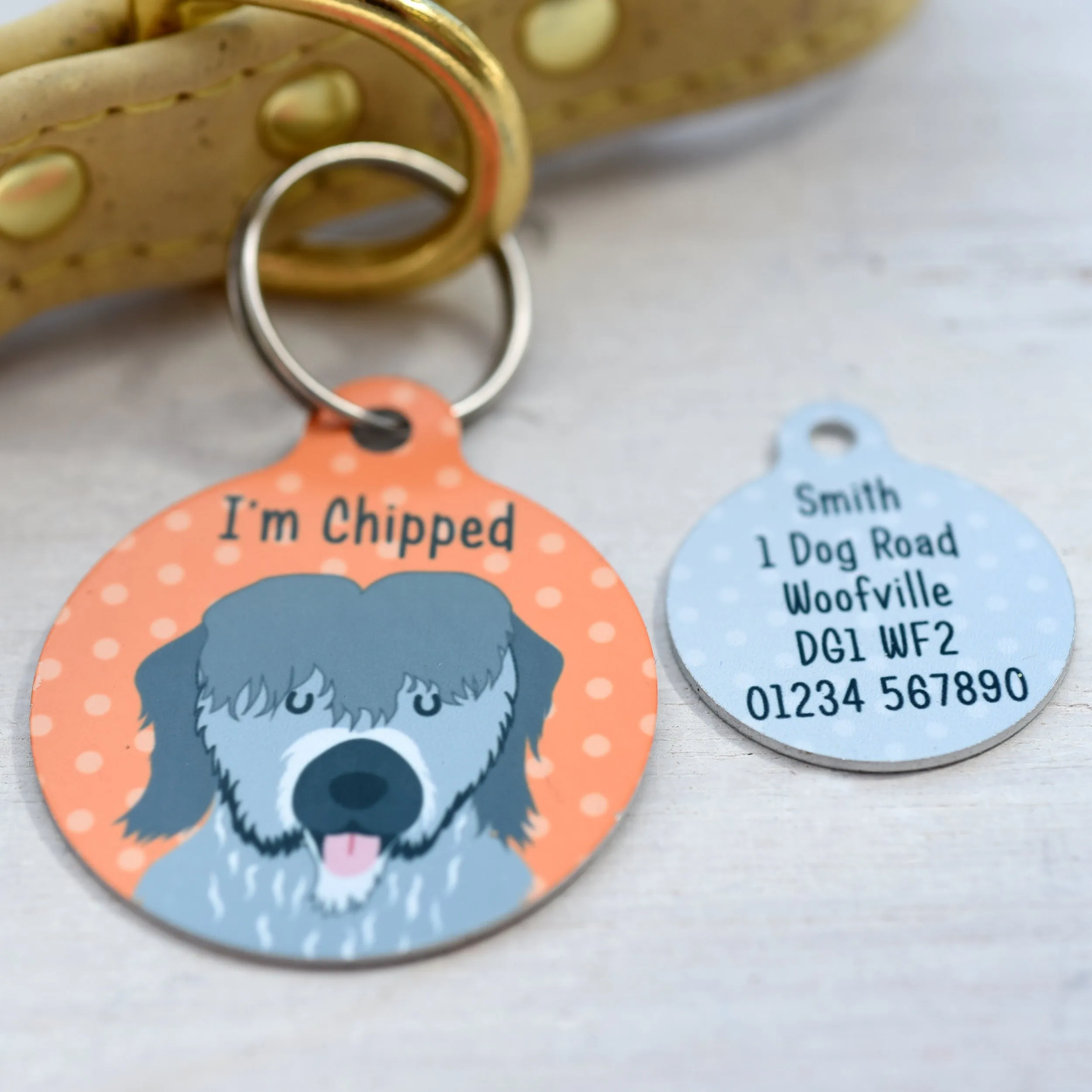 Briard Dog Tag Personalised