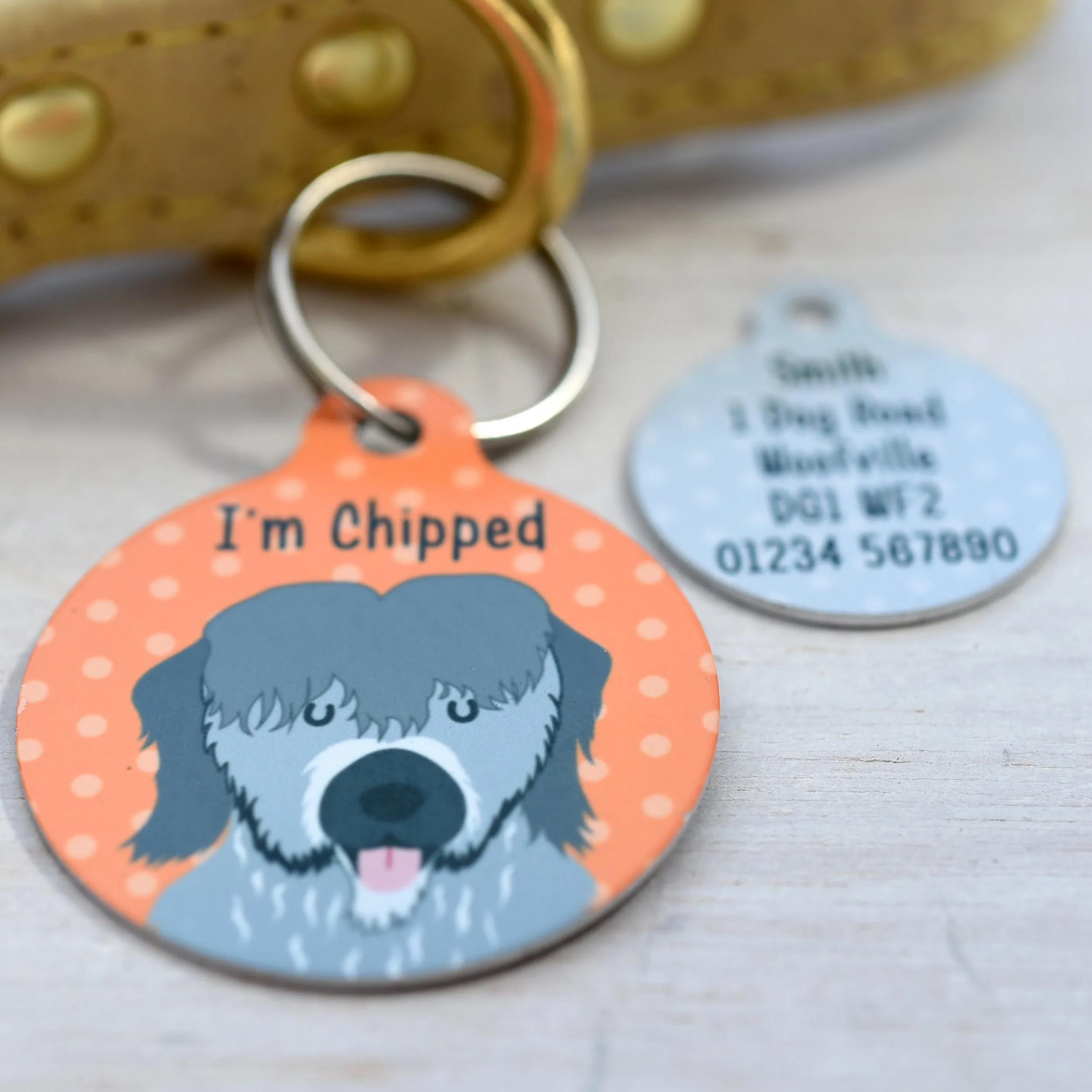 Briard Dog Tag Personalised