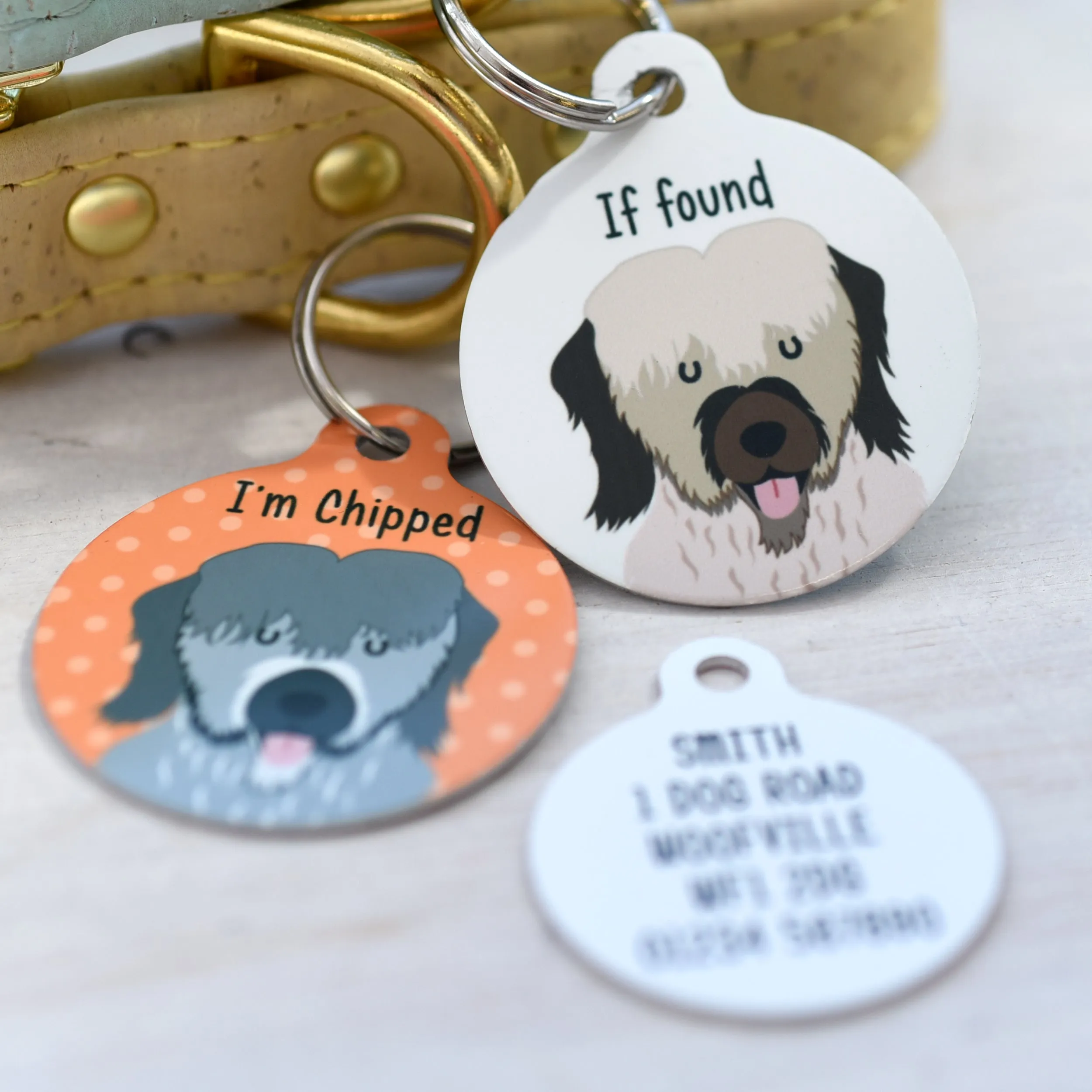 Briard Dog Tag Personalised