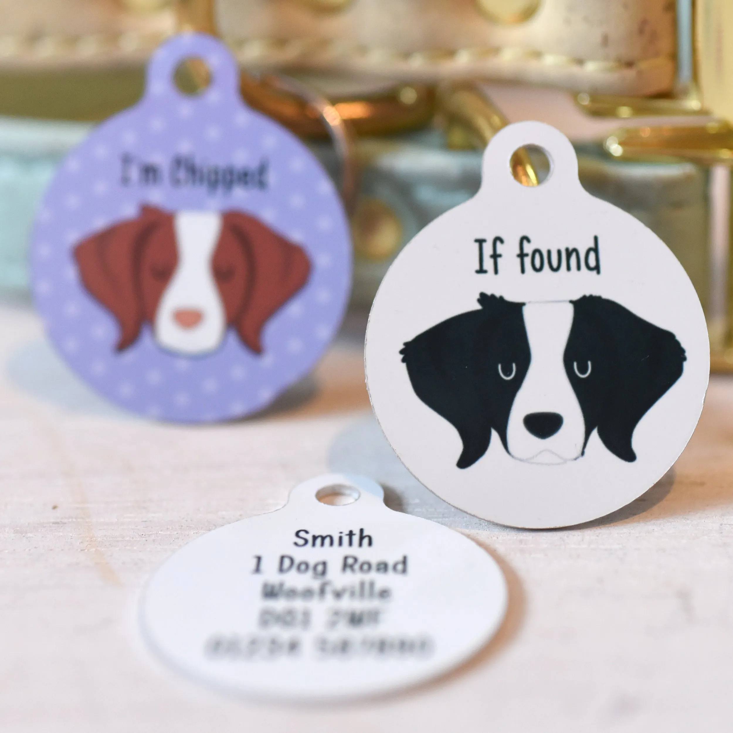 Brittany Dog Tag Personalised