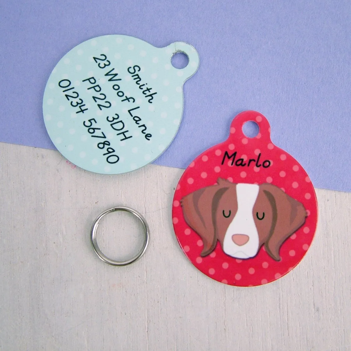 Brittany Dog Tag Personalised