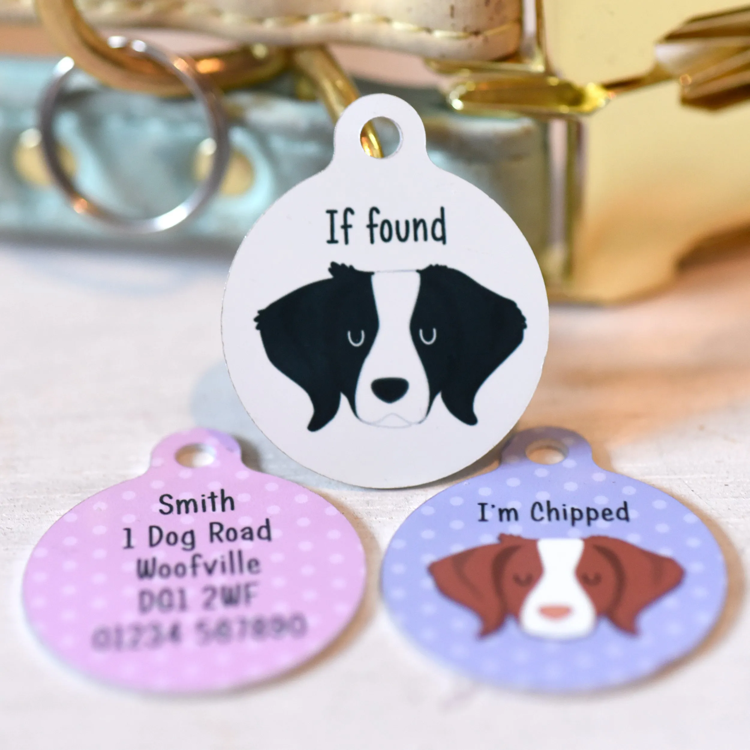 Brittany Dog Tag Personalised