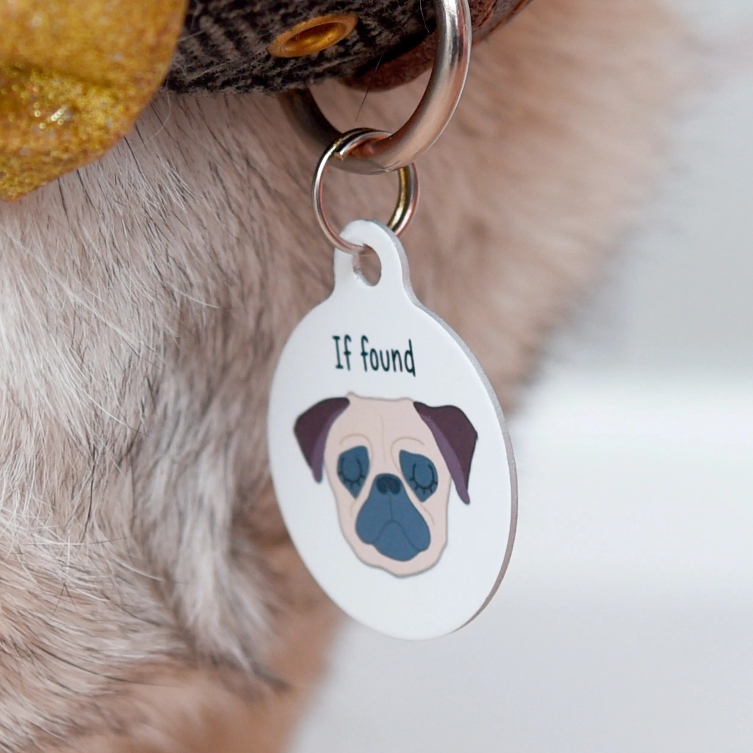 Budget Bauble Dog ID Tag (old style)