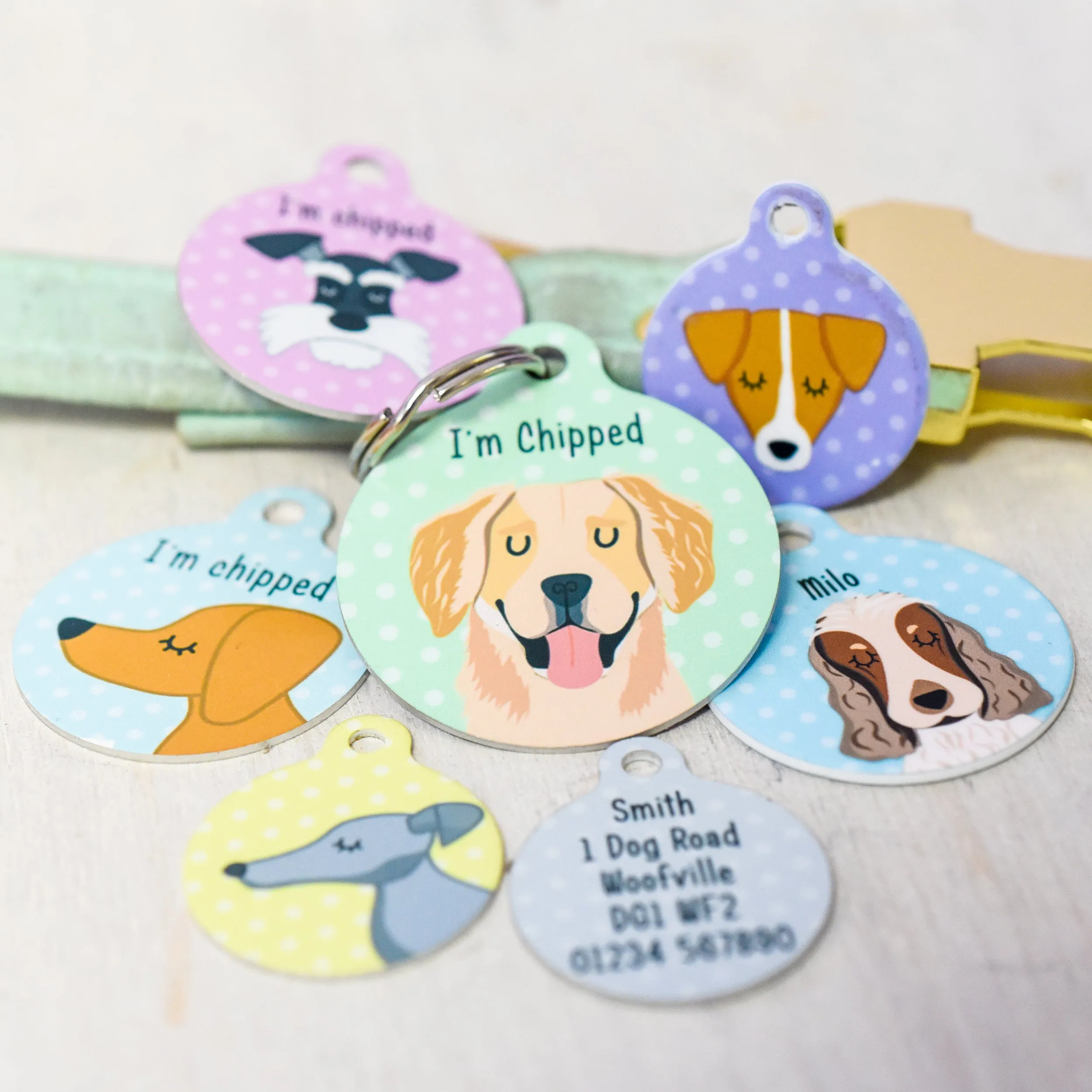 Budget Bauble Dog ID Tag (old style)