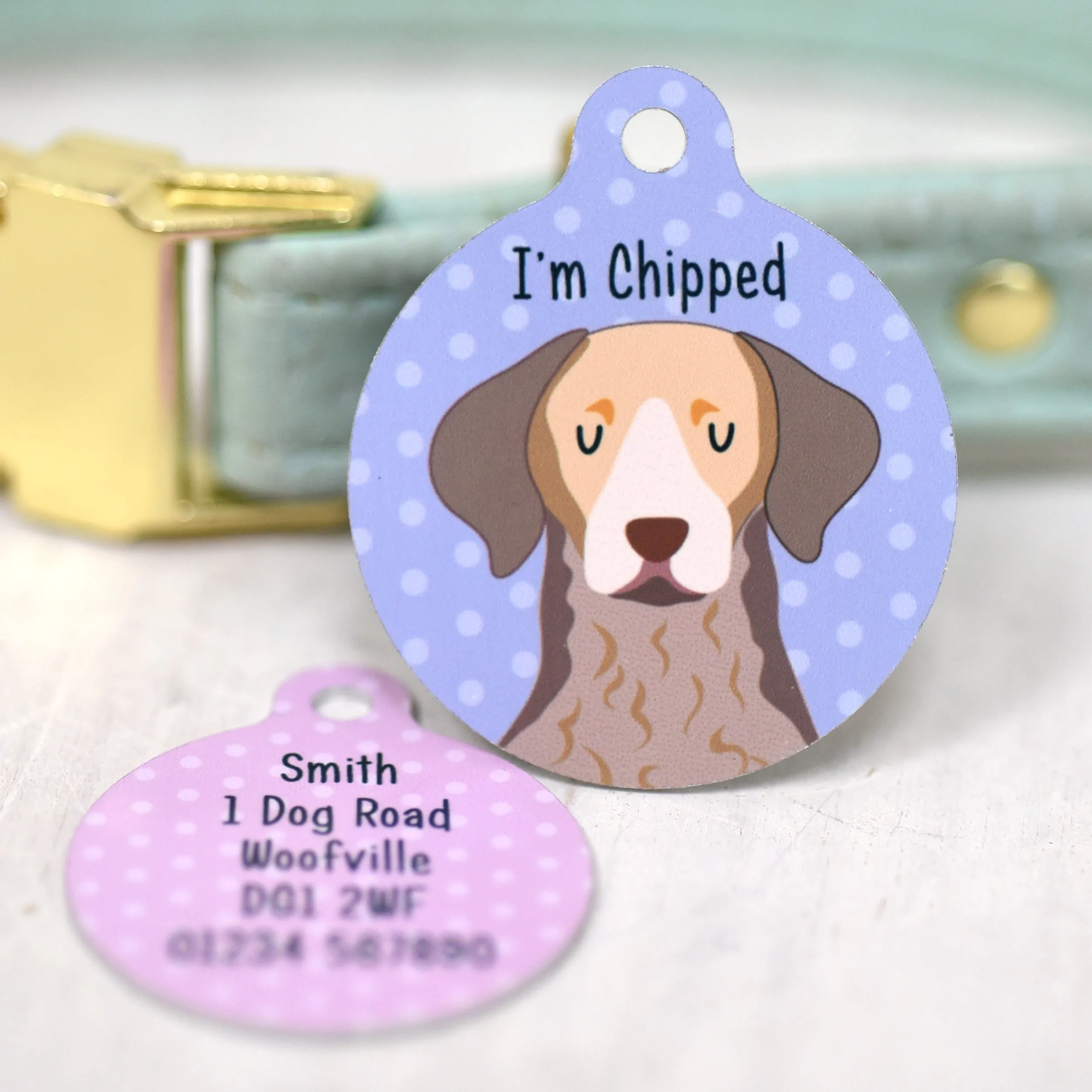 Chesapeake Bay Retriever Personalised Dog Tag