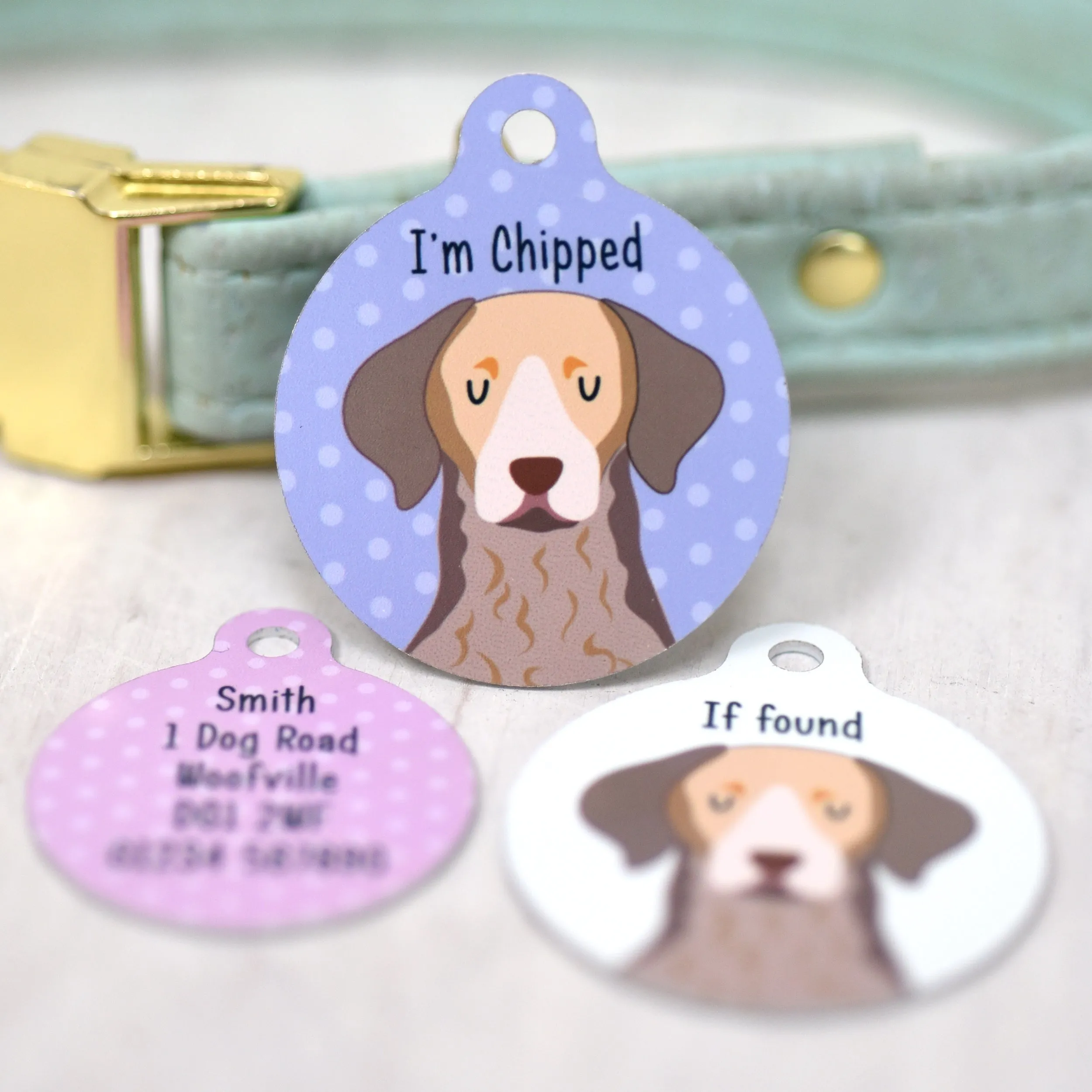 Chesapeake Bay Retriever Personalised Dog Tag