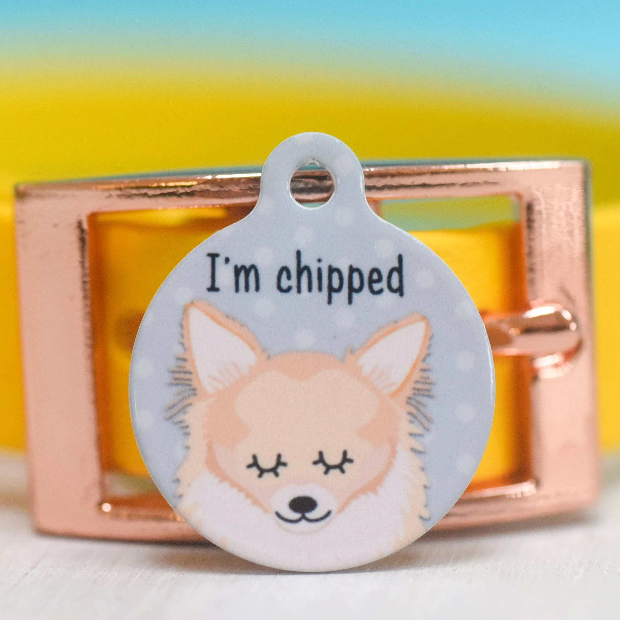 Chihuahua Personalised Dog Tag