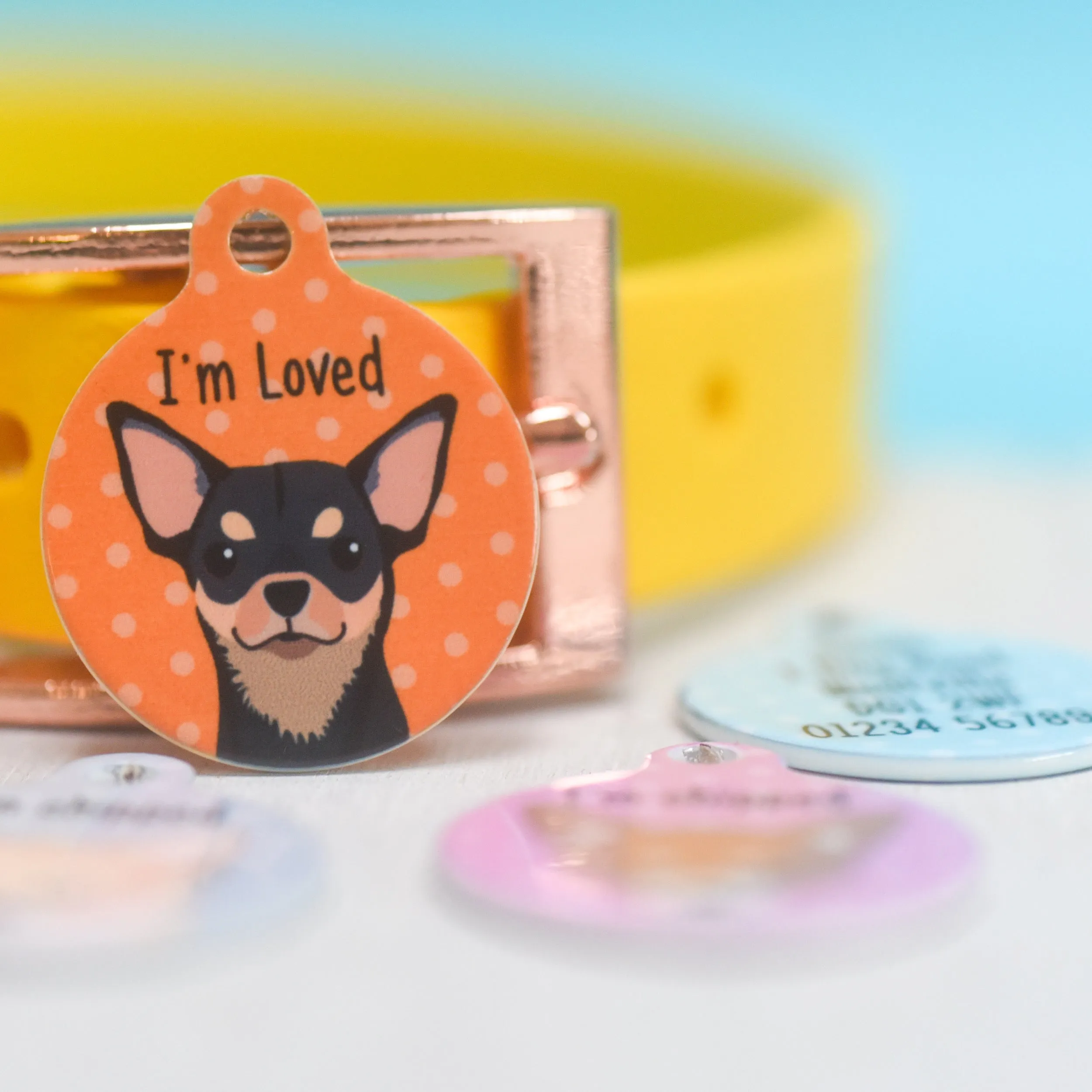 Chihuahua Personalised Dog Tag