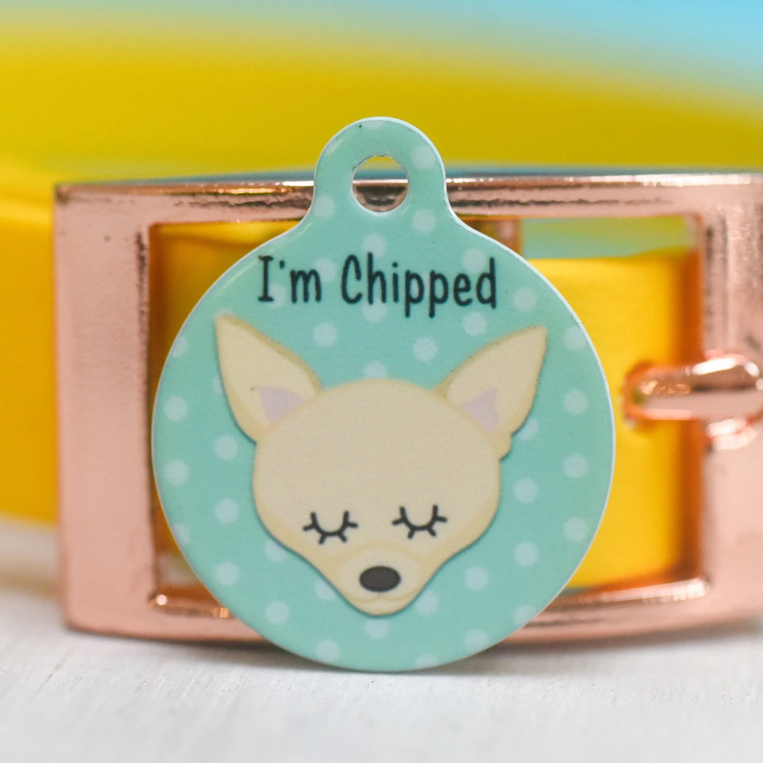 Chihuahua Personalised Dog Tag