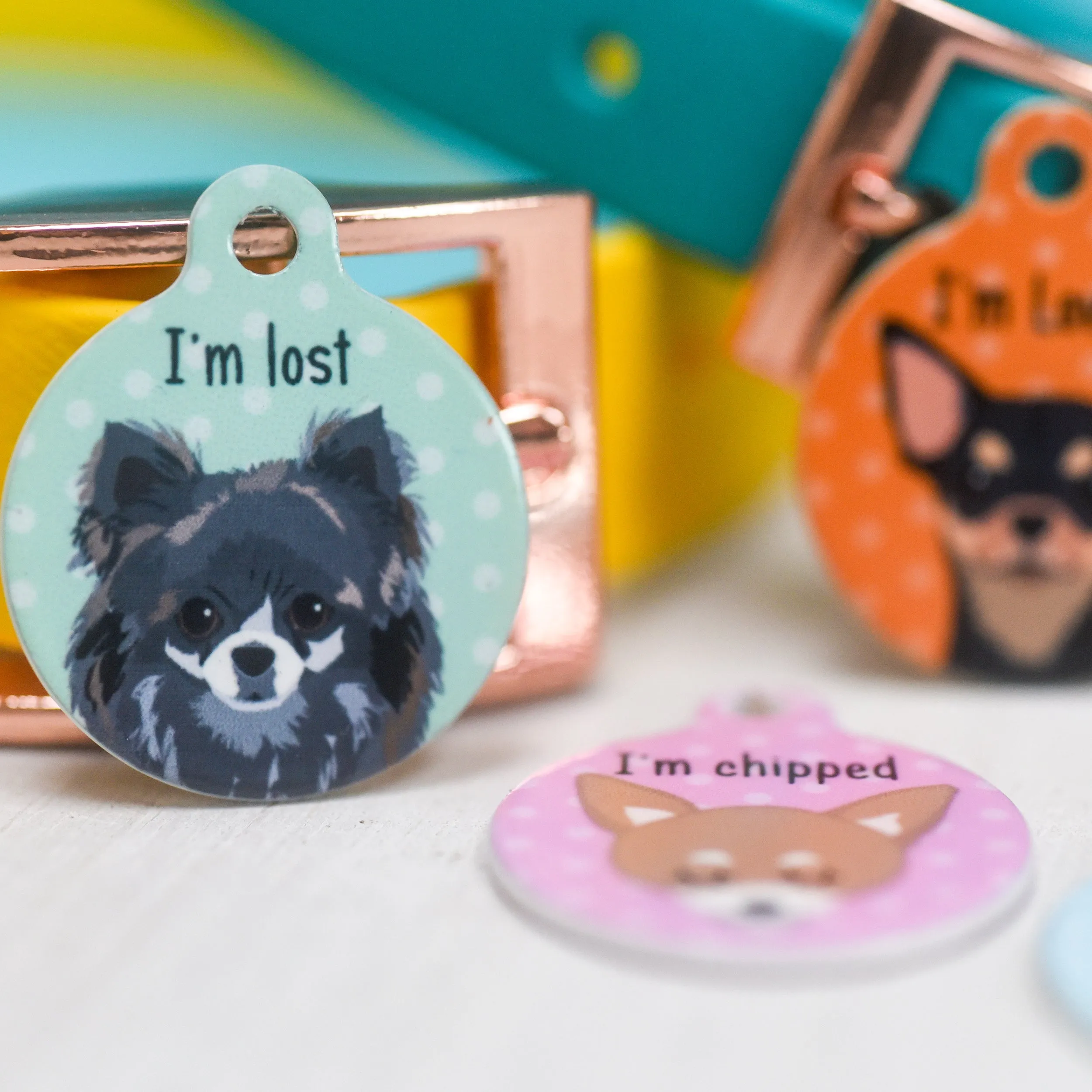 Chihuahua Personalised Dog Tag