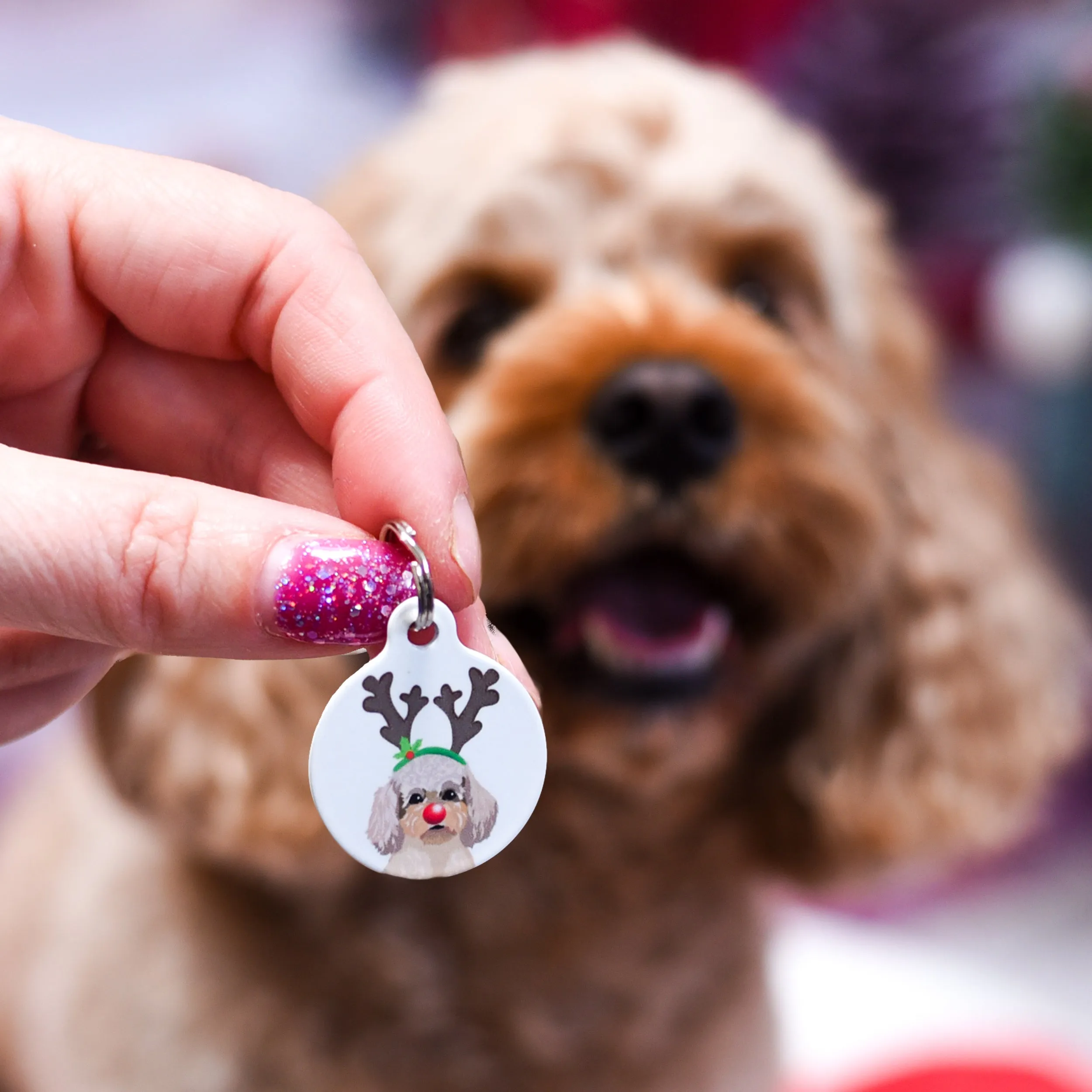 Christmas Personalised Dog ID Tag - Reindeer Antlers & Rednose