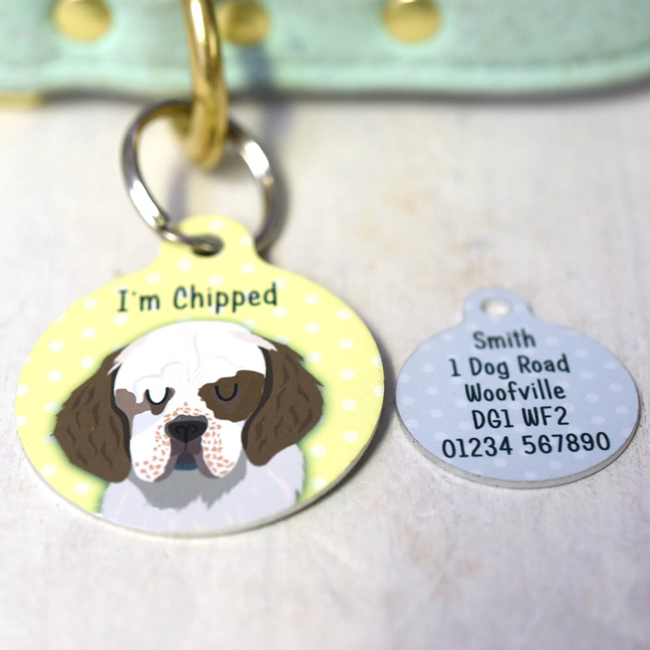 Clumber Spaniel Personalised Dog Tag