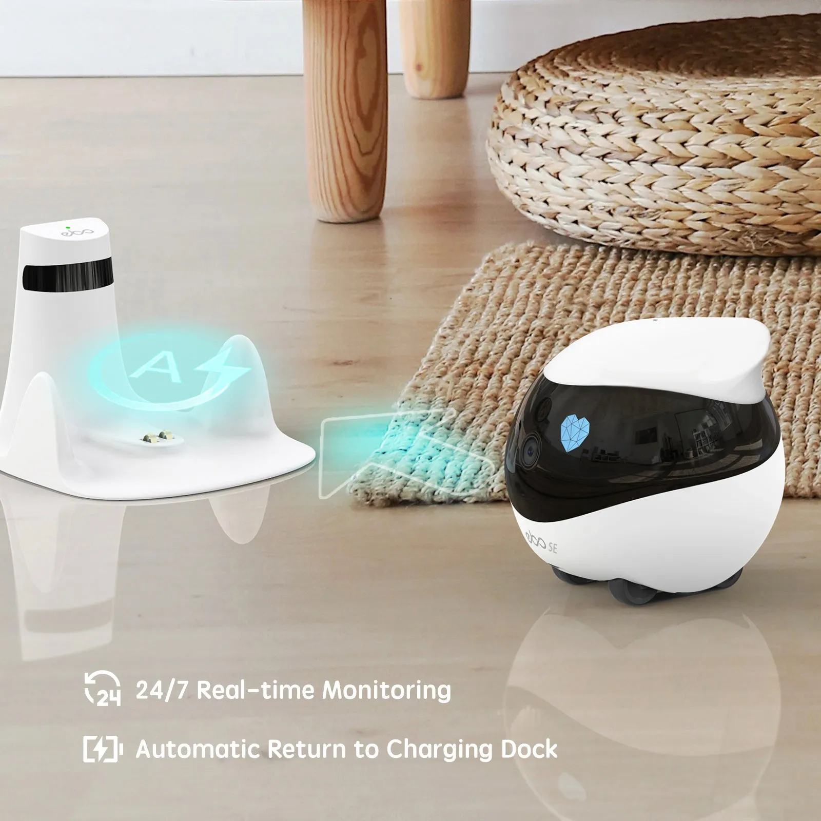 Companion Robot for Pets, Kids and Adult