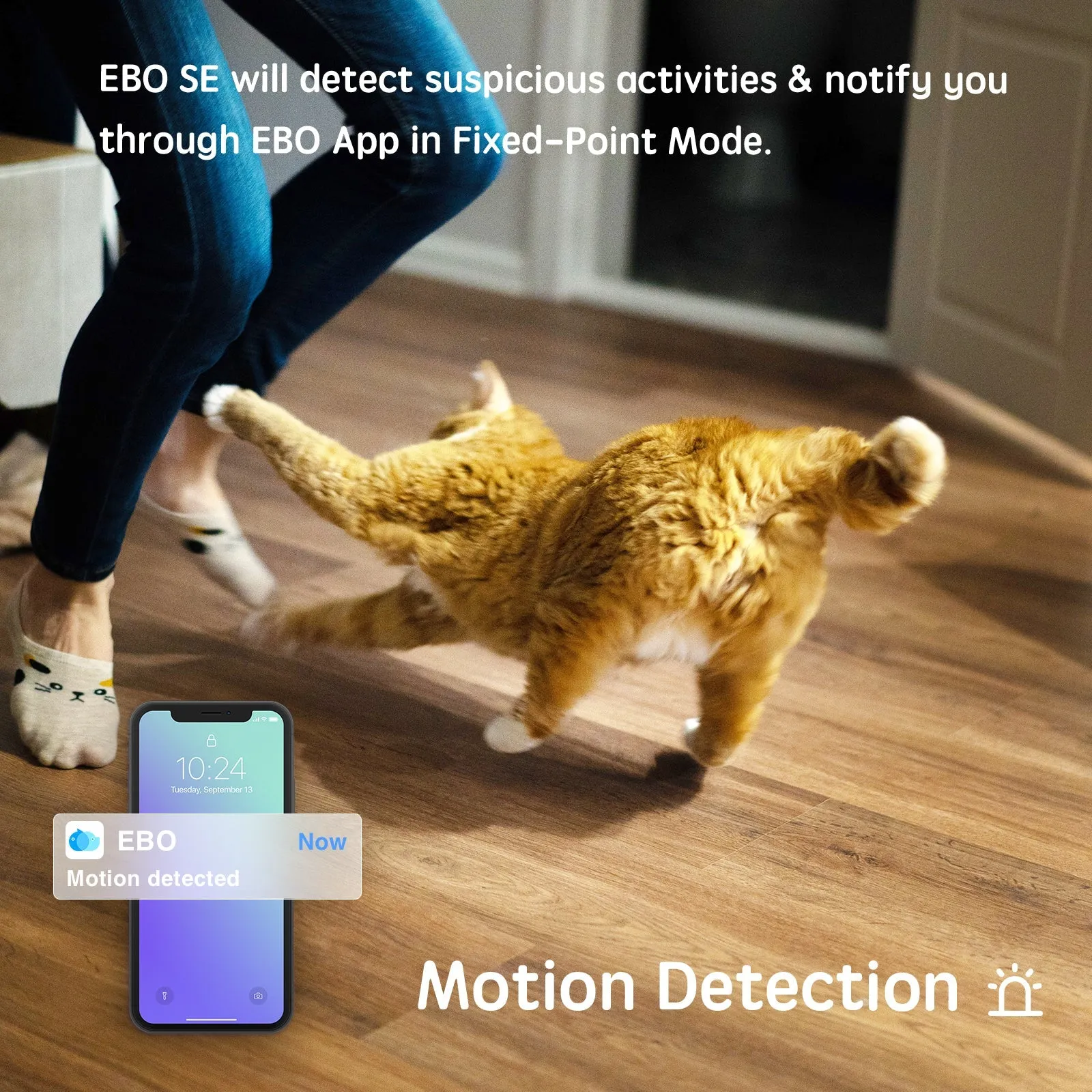 Companion Robot for Pets, Kids and Adult