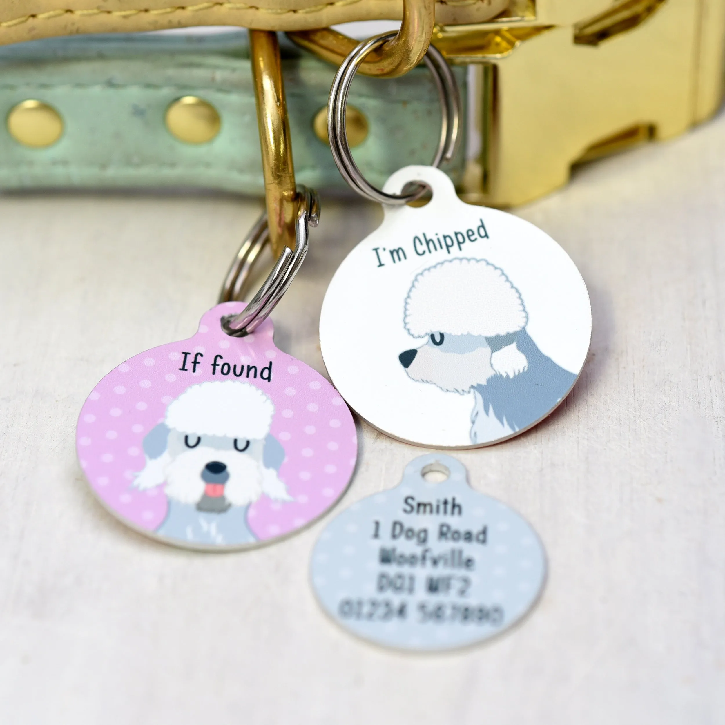 Dandie Dinmont Terrier Personalised Dog ID Tag