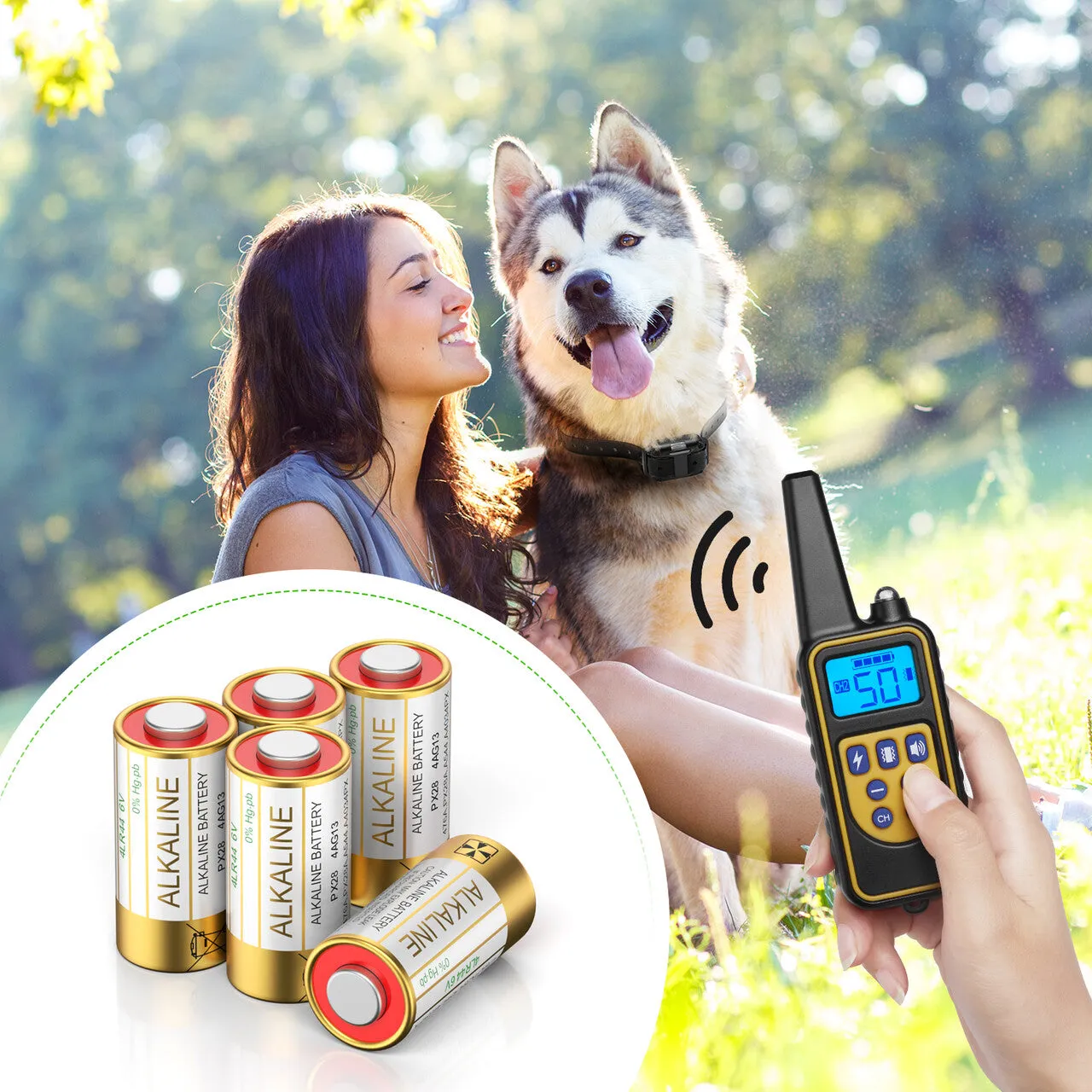 EBL 4LR44 6V Alkaline Batteries for Dog Collars