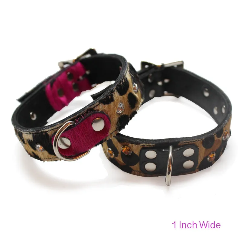 Large Pet Collar