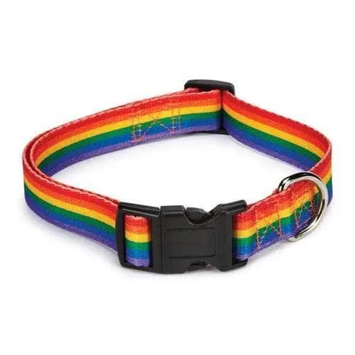 Mirage Rainbow Pride Dog Collar