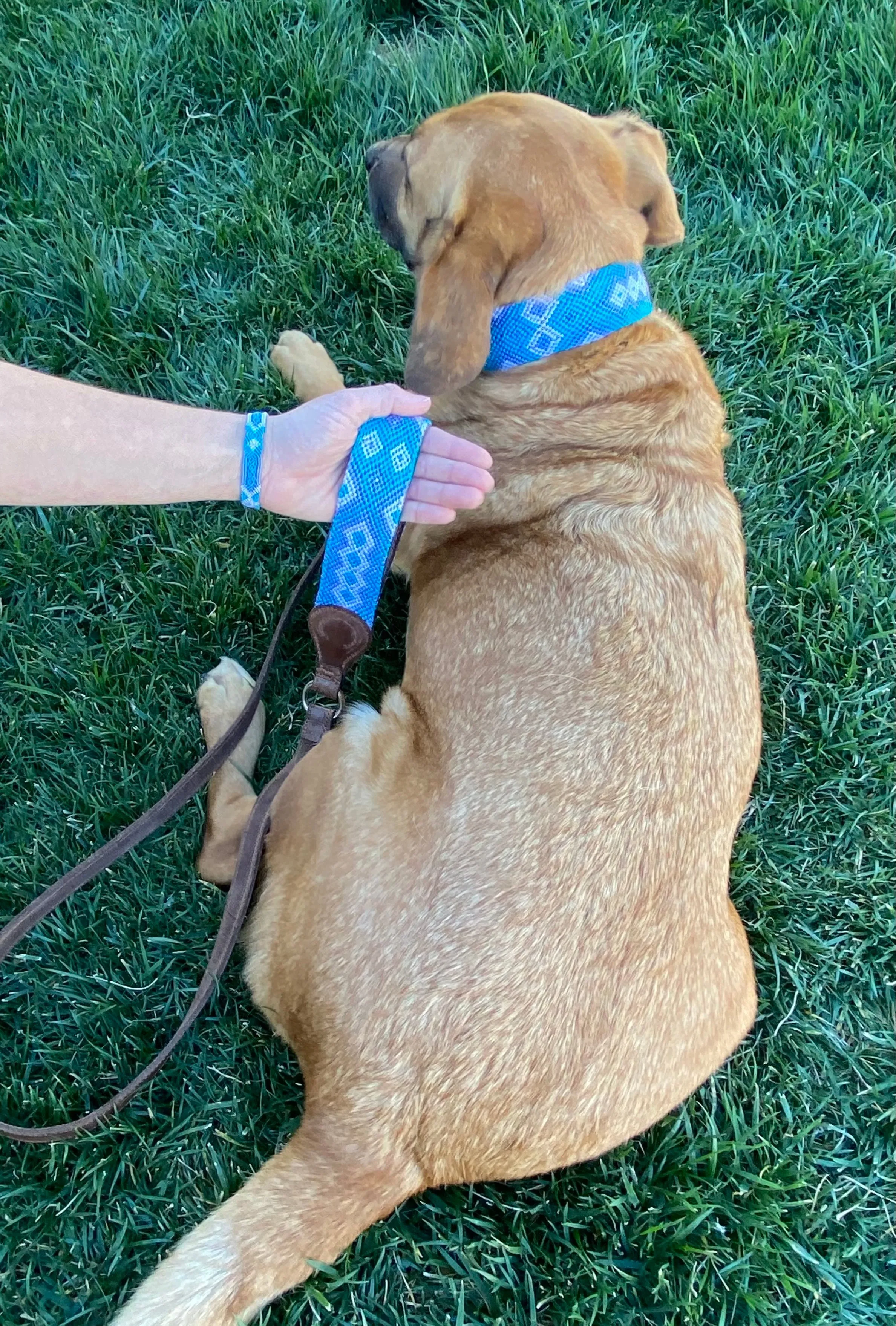 Ranchero Collar