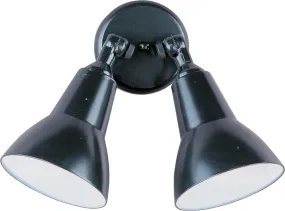 Spots 2-Light Outdoor Wall Mount in Black