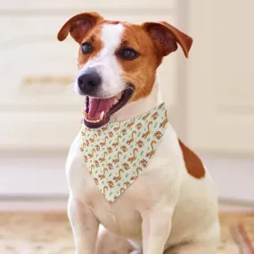 Squirrel Pet Bandana for Your Stylish Furry Friend