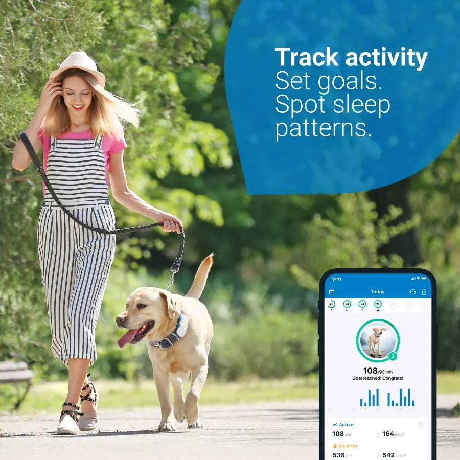 Tractive GPS Dog 4 for Dogs