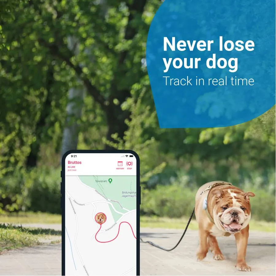 Tractive GPS Dog 4 for Dogs