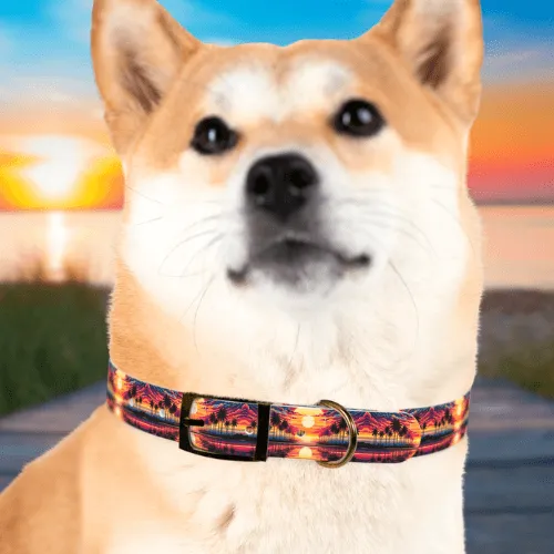 Tropical Sunset Dog Collar🌅 🐾